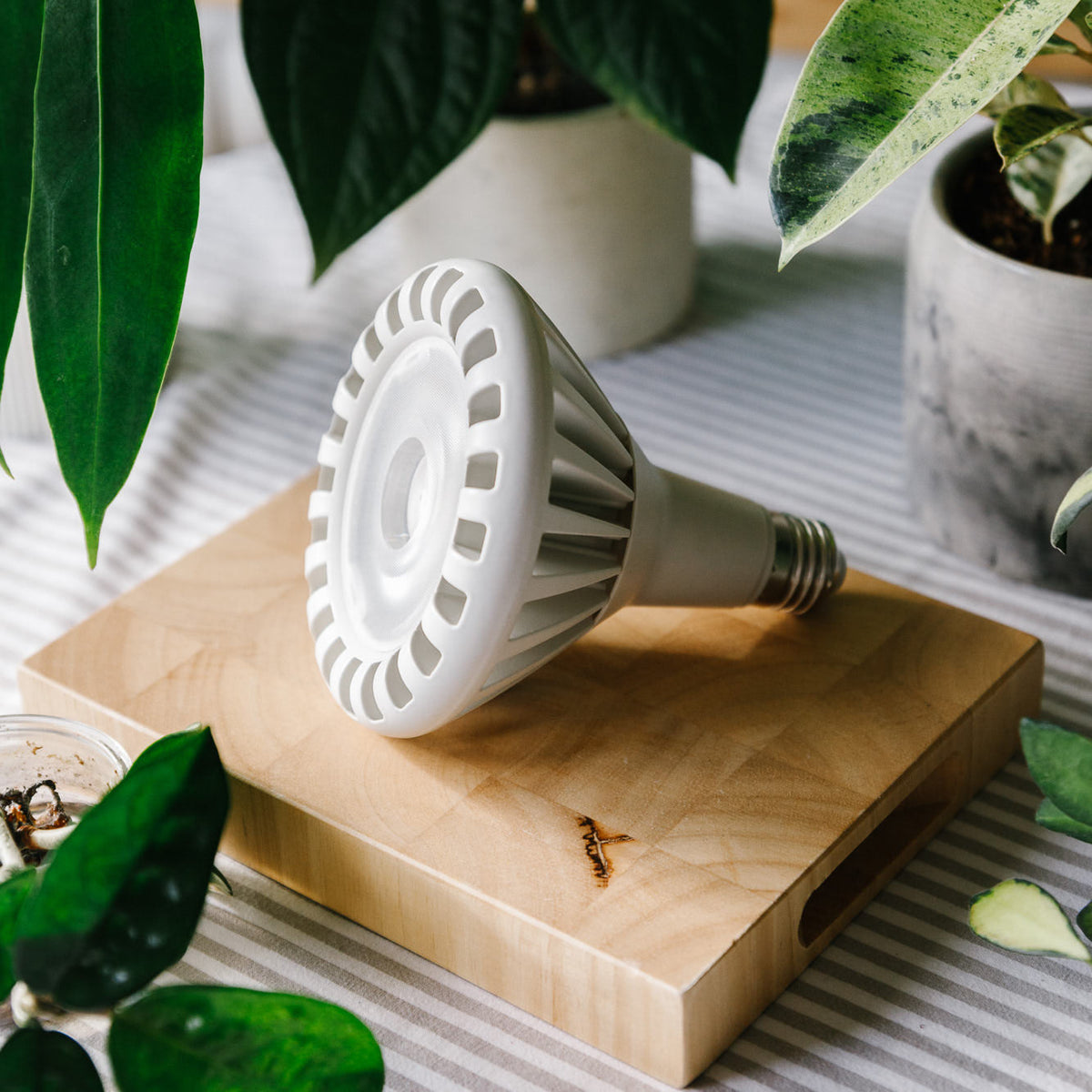 FloraBeam™ Full-Spectrum LED Plant Growth Bulb