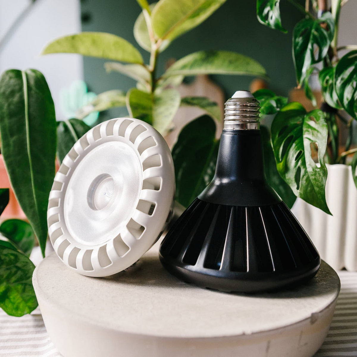 FloraBeam™ Full-Spectrum LED Plant Growth Bulb
