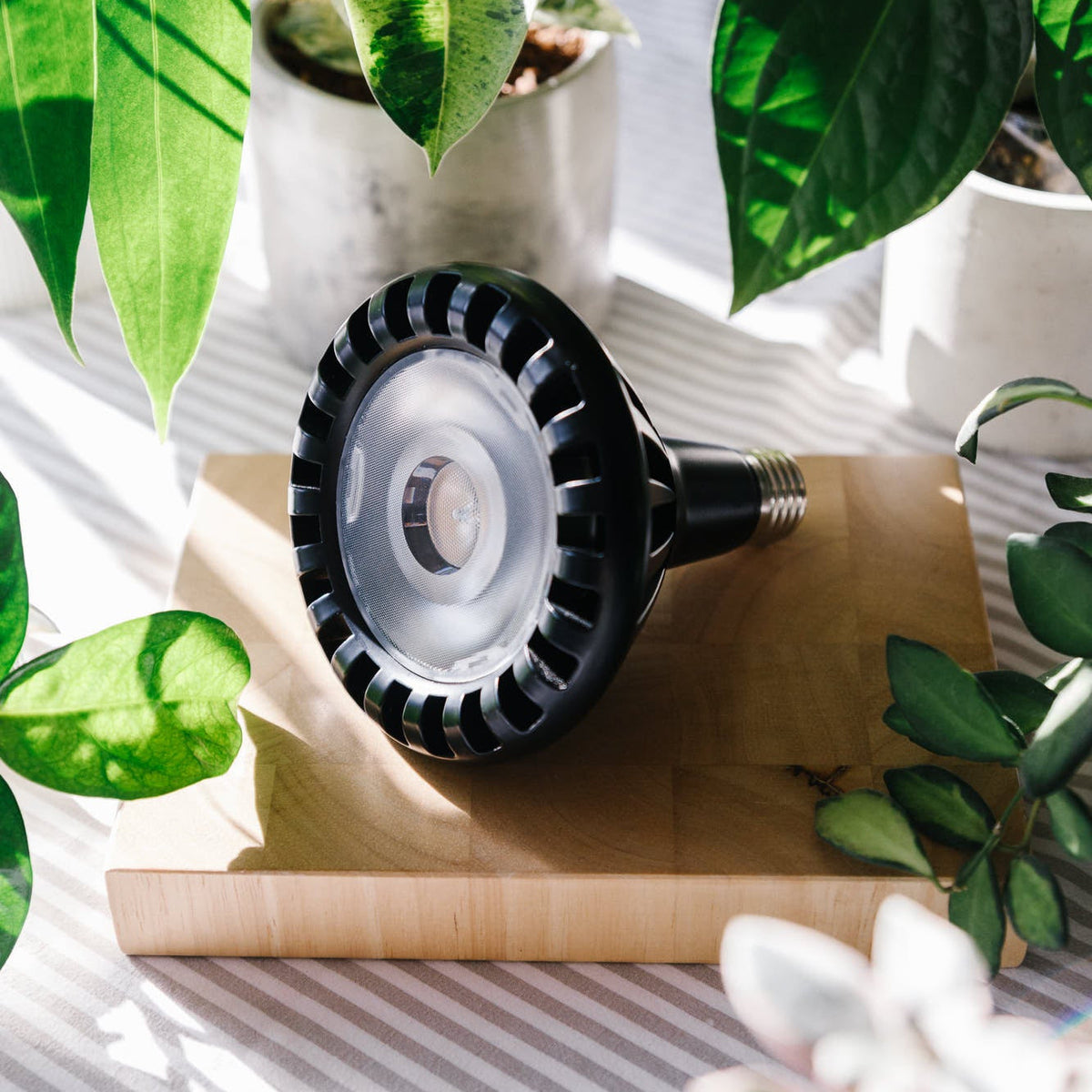 FloraBeam™ Full-Spectrum LED Plant Growth Bulb