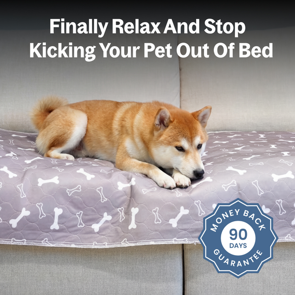 6 PUP PADS
