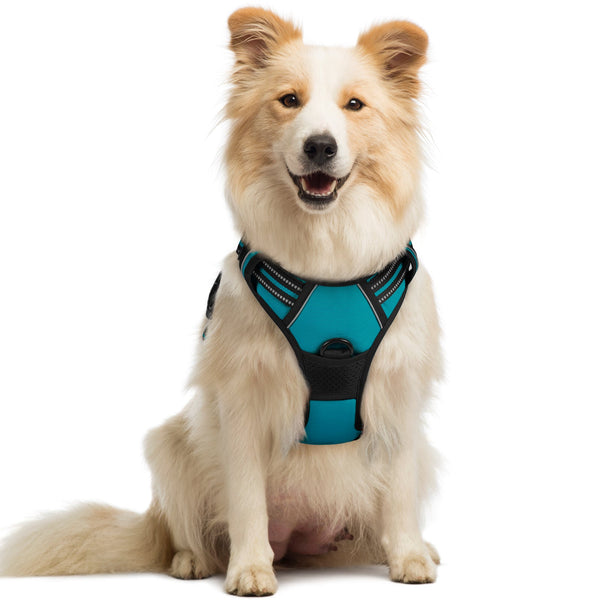 Classic Fit No Pull Dog Harness