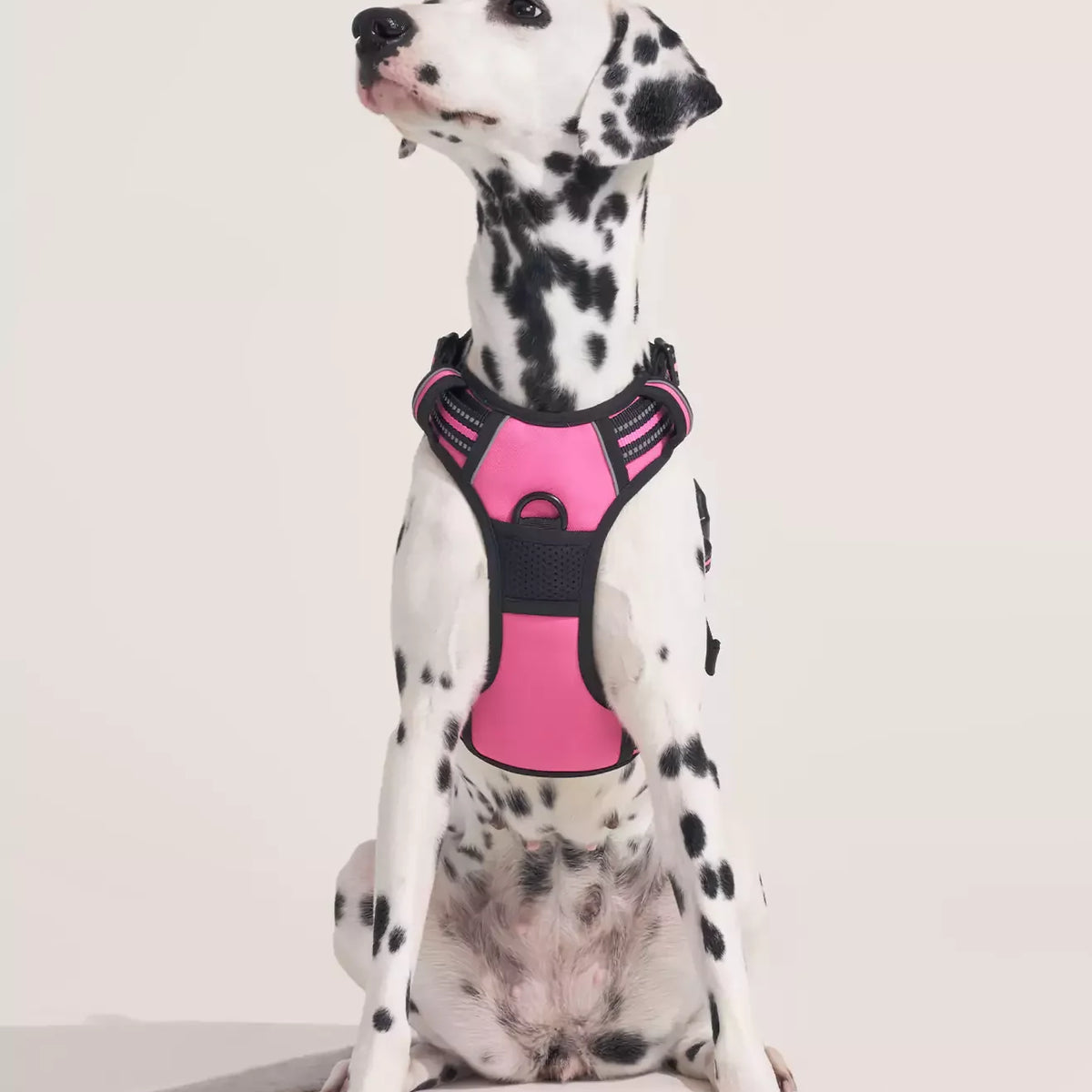 Classic Fit No Pull Dog Harness