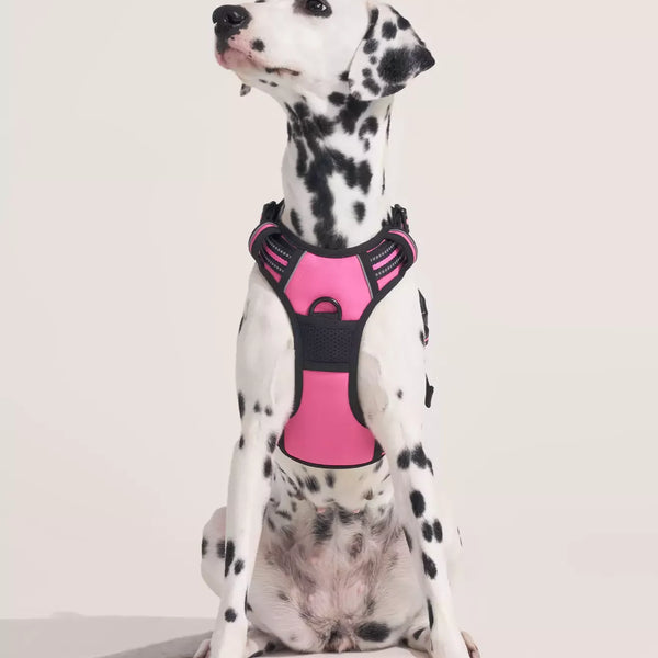 Classic Fit No Pull Dog Harness