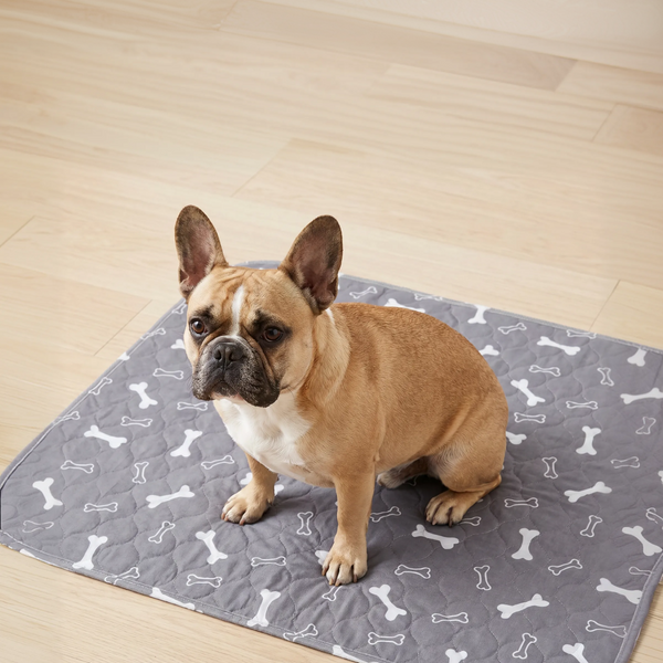 6 PUP PADS