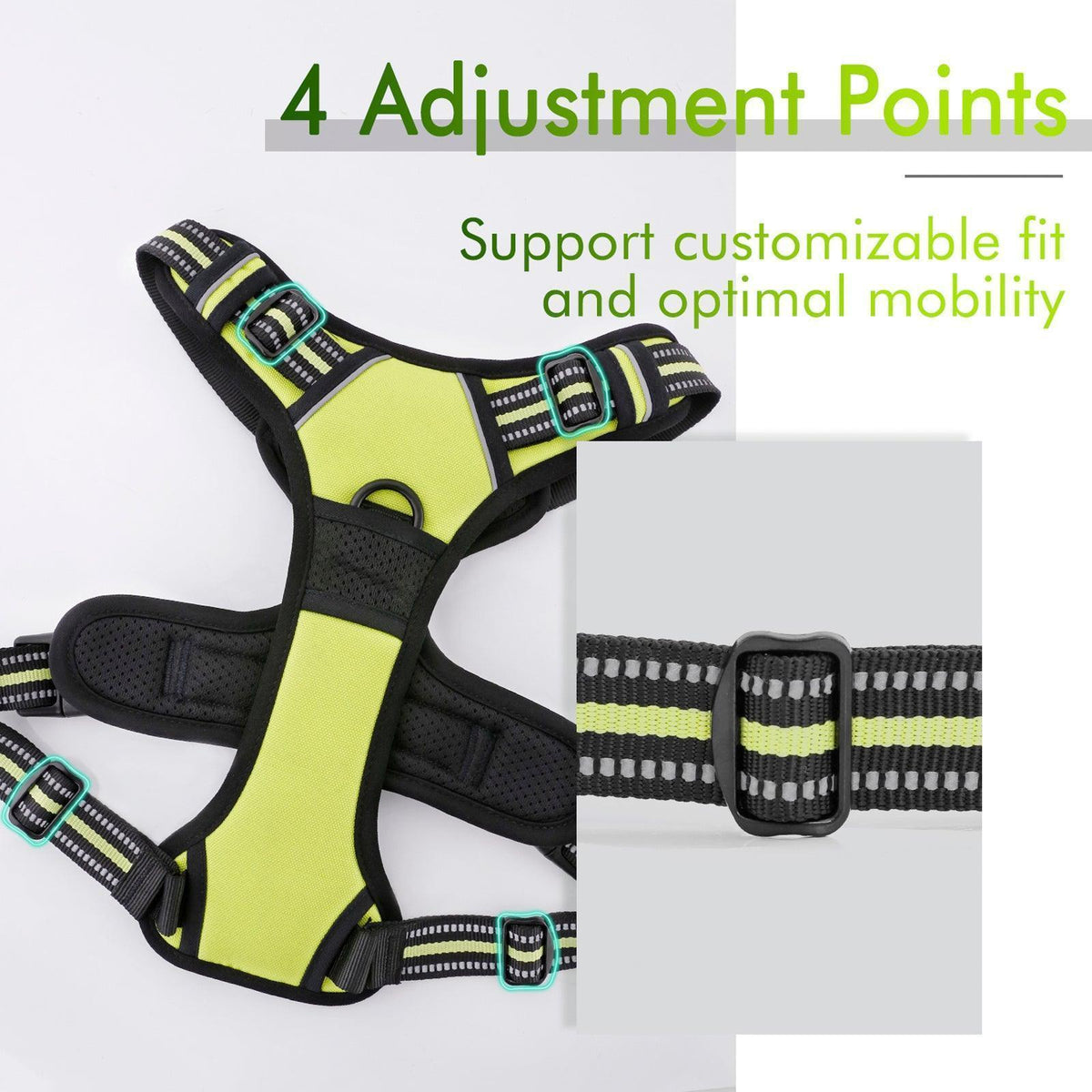 Classic Fit No Pull Dog Harness