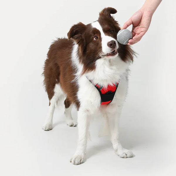 Classic Fit No Pull Dog Harness