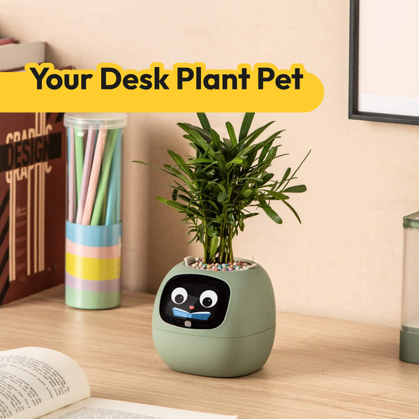 Ivy | Desk Plant Pet