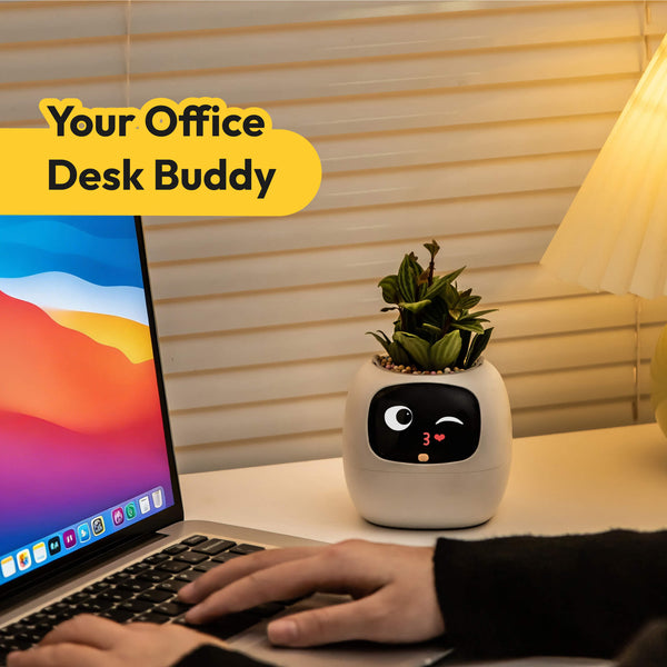 Ivy | Desk Plant Pet