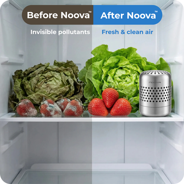 Noova™ Fridge Purifier