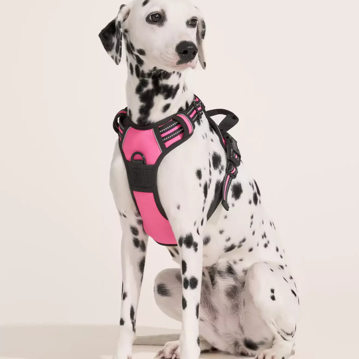 Classic Fit No Pull Dog Harness