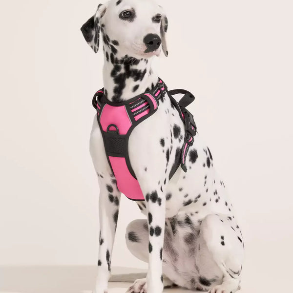 Classic Fit No Pull Dog Harness