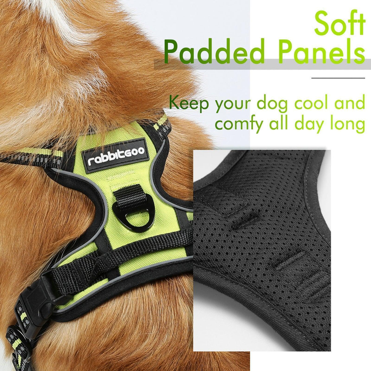 Classic Fit No Pull Dog Harness