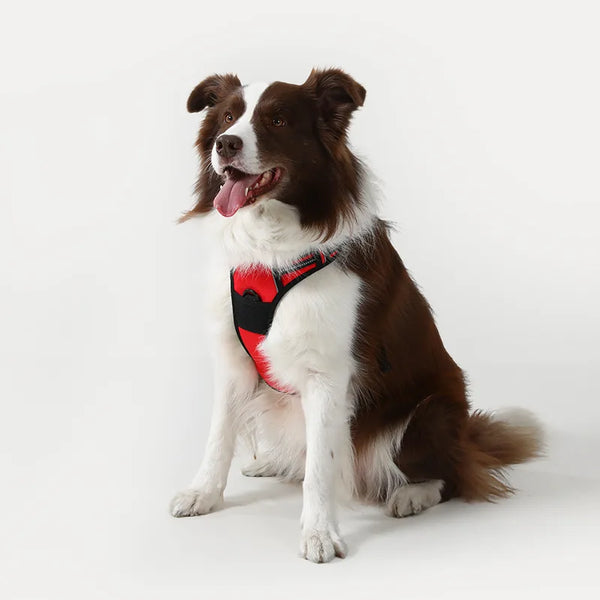 Classic Fit No Pull Dog Harness