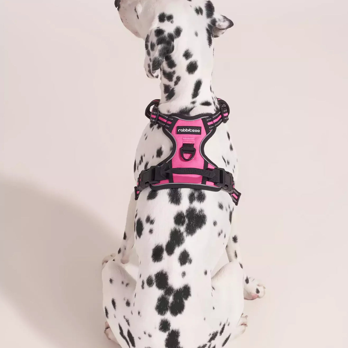Classic Fit No Pull Dog Harness