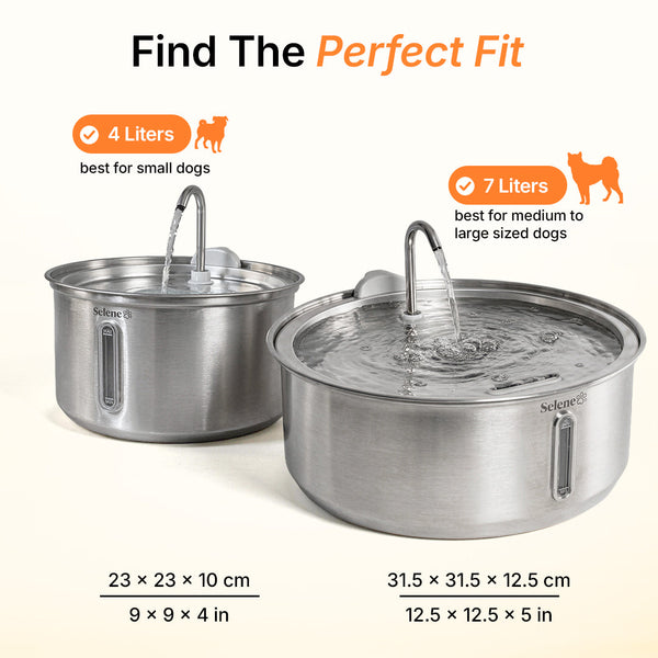The Doggy Fountain™