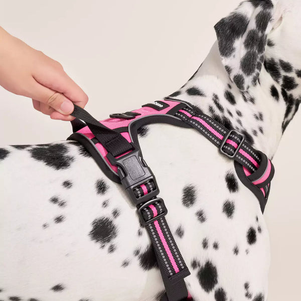 Classic Fit No Pull Dog Harness