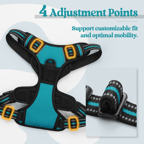 Classic Fit No Pull Dog Harness
