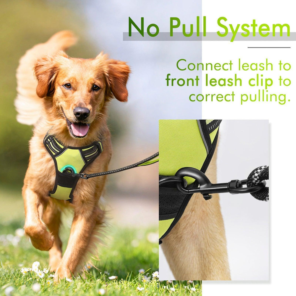 Classic Fit No Pull Dog Harness