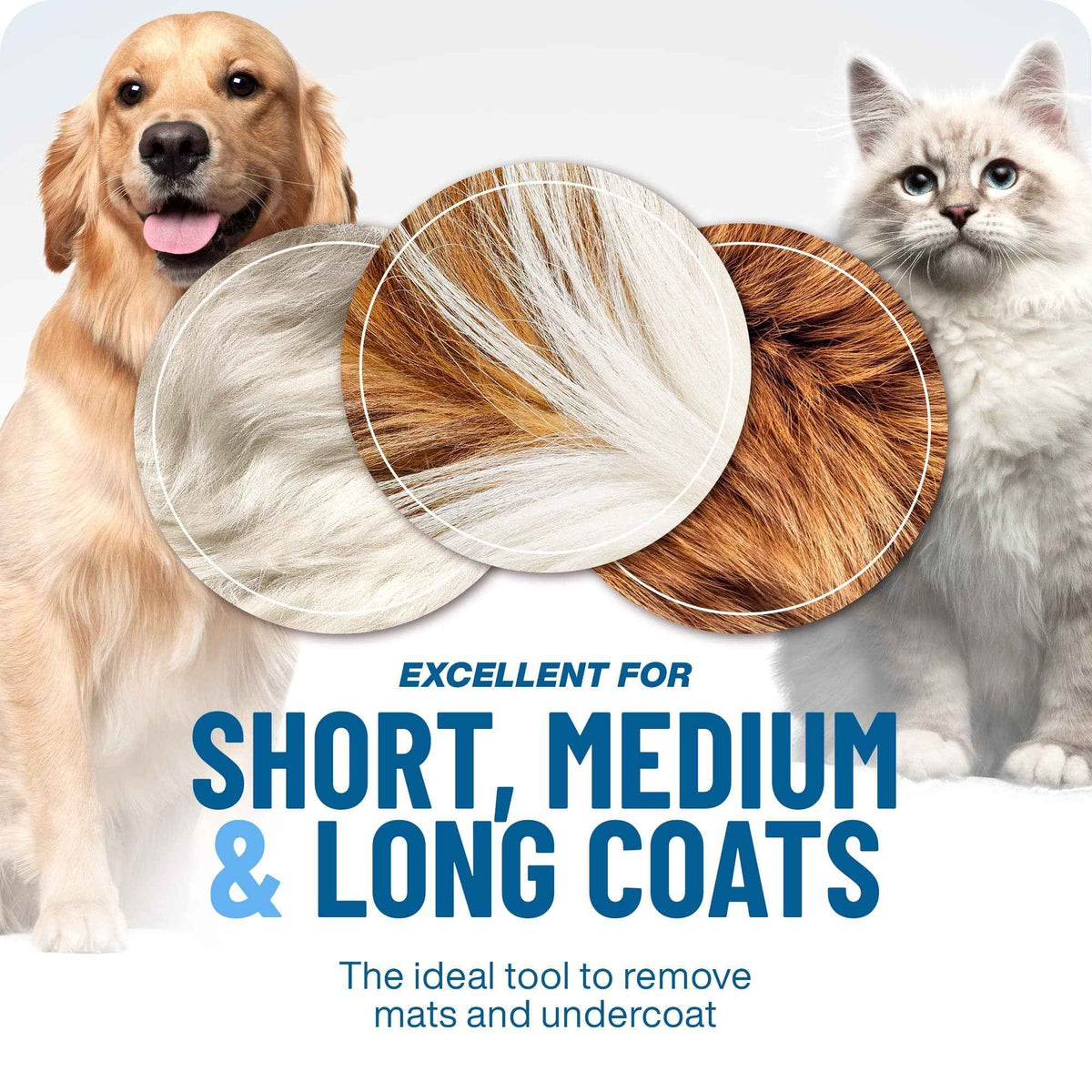 1+1 Free | Professional Pet Grooming Tool Removes Mats and Shedding
