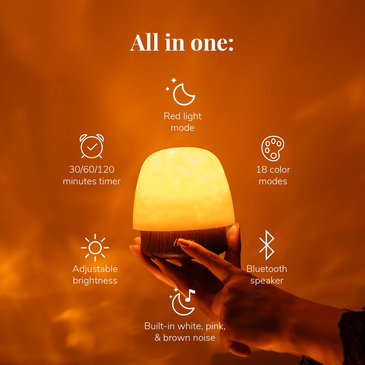 Havie Lamp