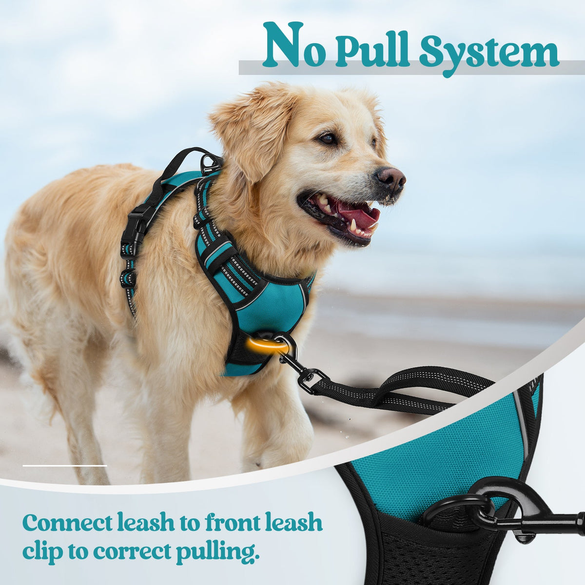 Classic Fit No Pull Dog Harness
