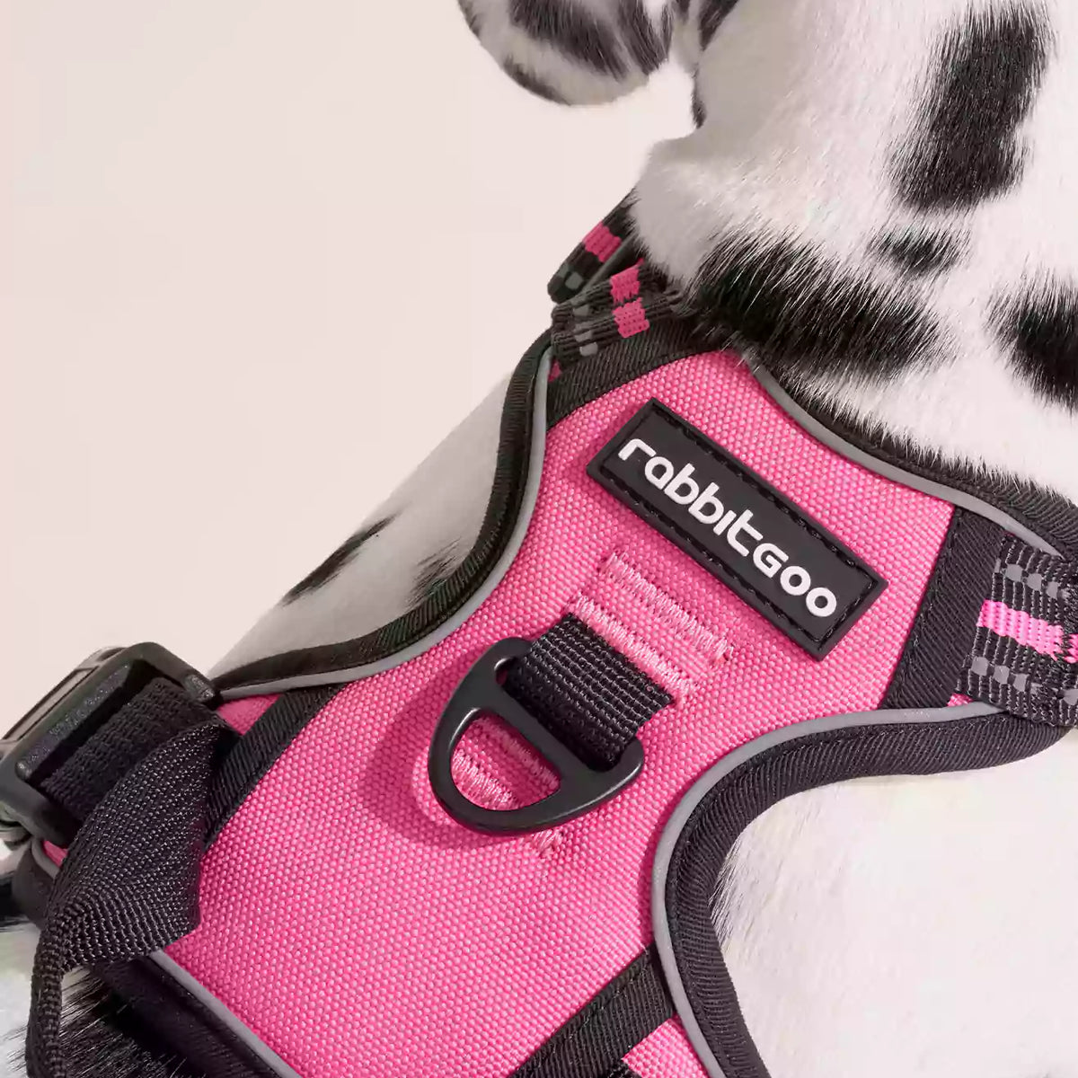 Classic Fit No Pull Dog Harness