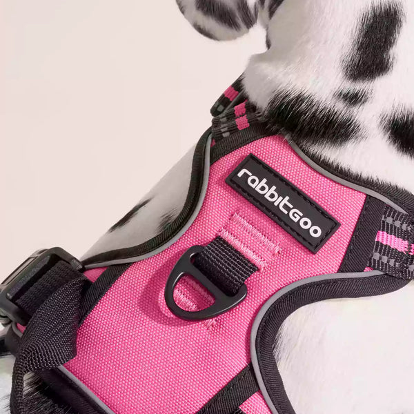 Classic Fit No Pull Dog Harness