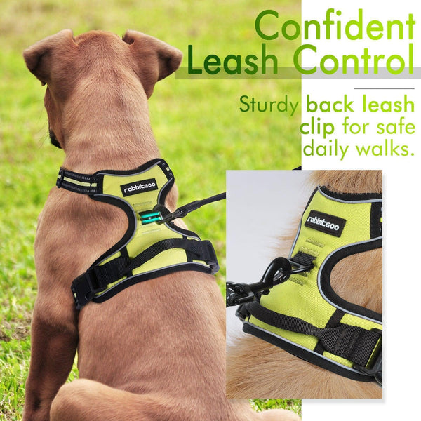 Classic Fit No Pull Dog Harness