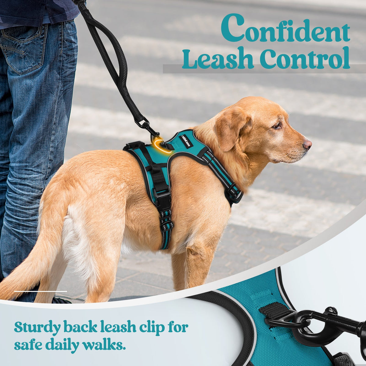 Classic Fit No Pull Dog Harness