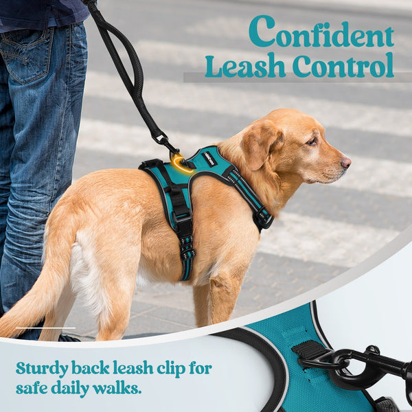 Classic Fit No Pull Dog Harness