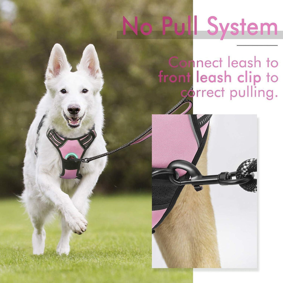 Classic Fit No Pull Dog Harness