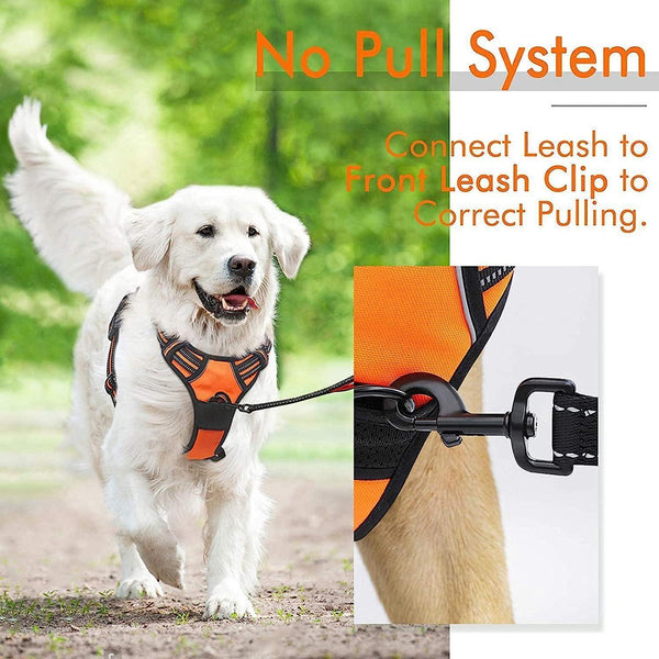Classic Fit No Pull Dog Harness