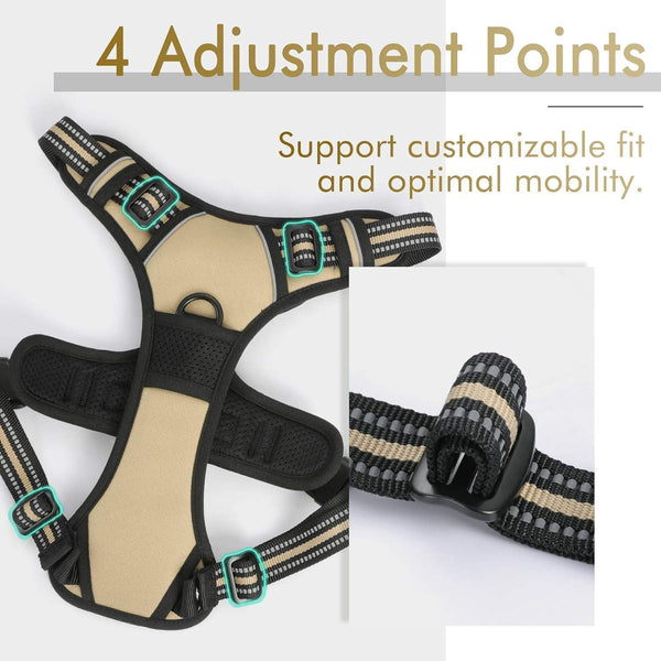Classic Fit No Pull Dog Harness
