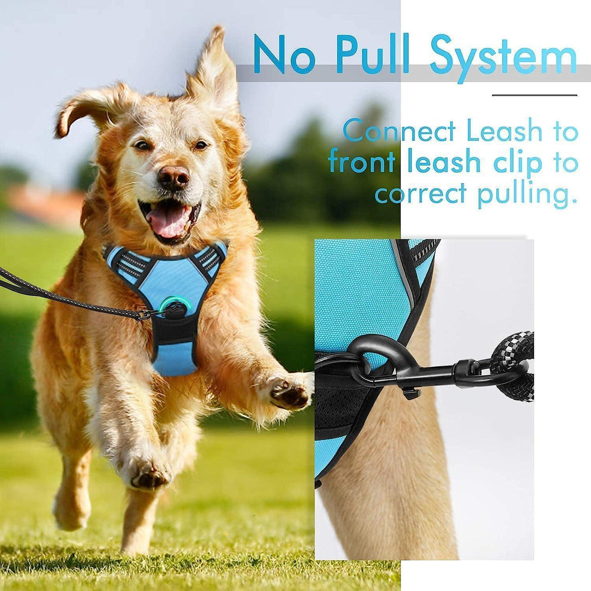 Classic Fit No Pull Dog Harness