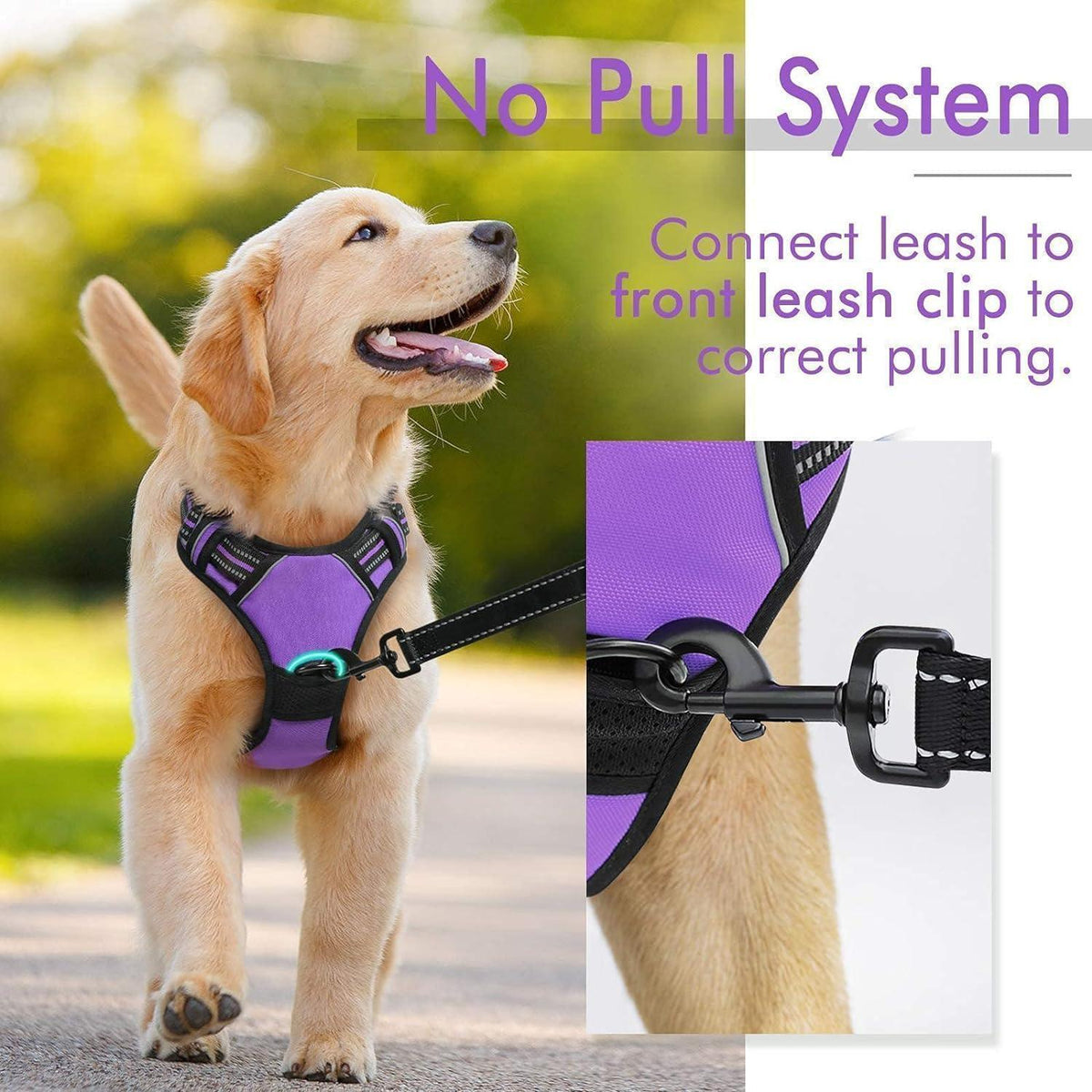 Classic Fit No Pull Dog Harness