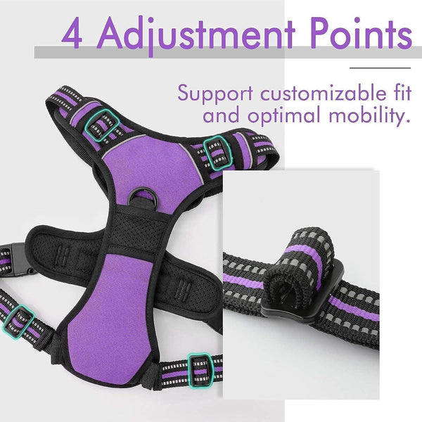 Classic Fit No Pull Dog Harness