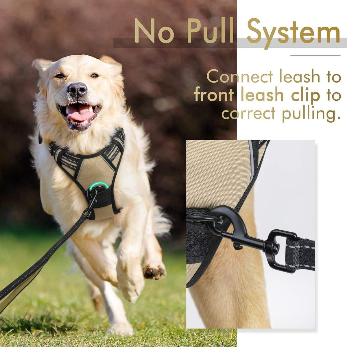 Classic Fit No Pull Dog Harness