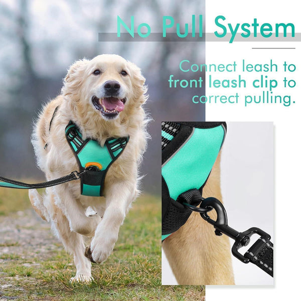 Classic Fit No Pull Dog Harness