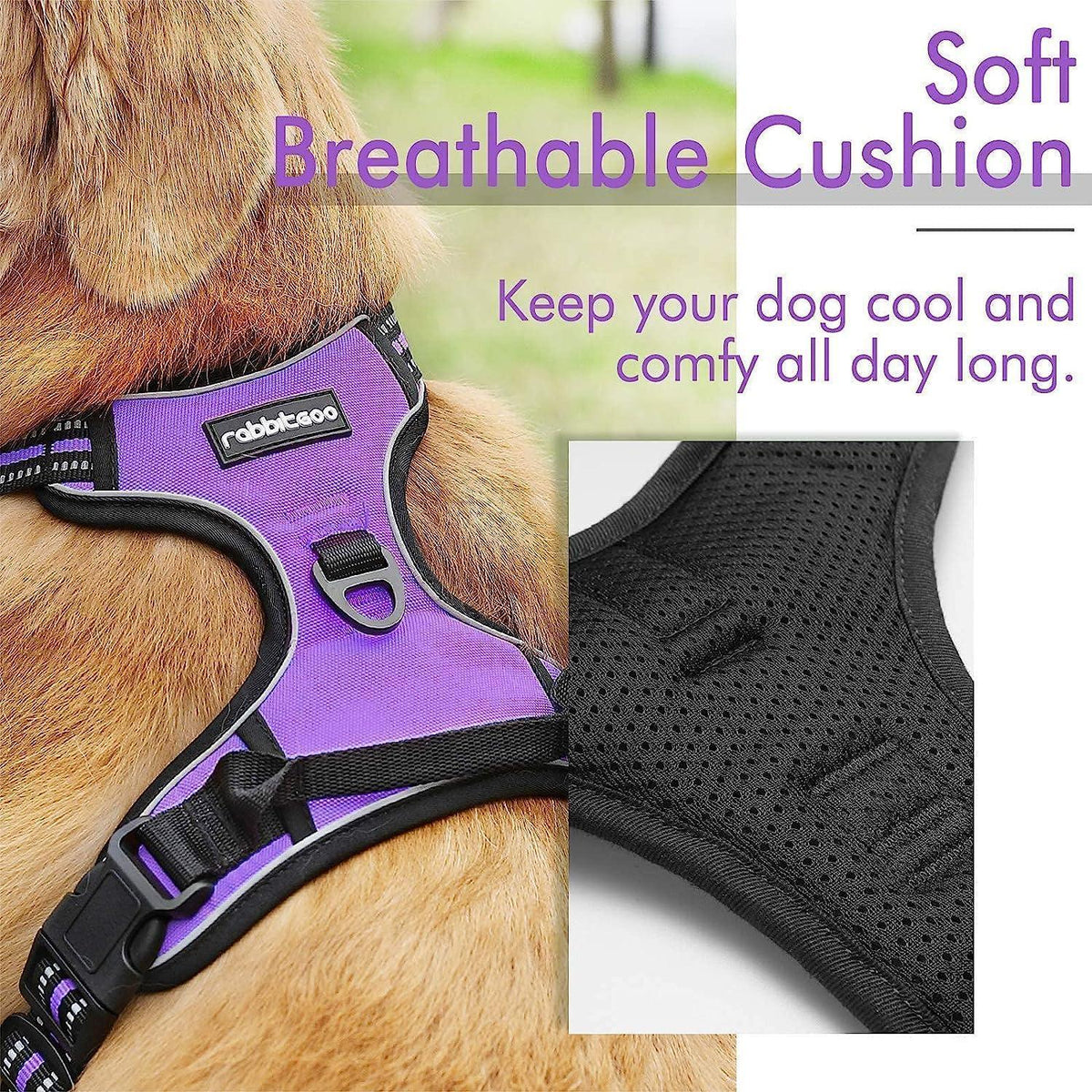 Classic Fit No Pull Dog Harness