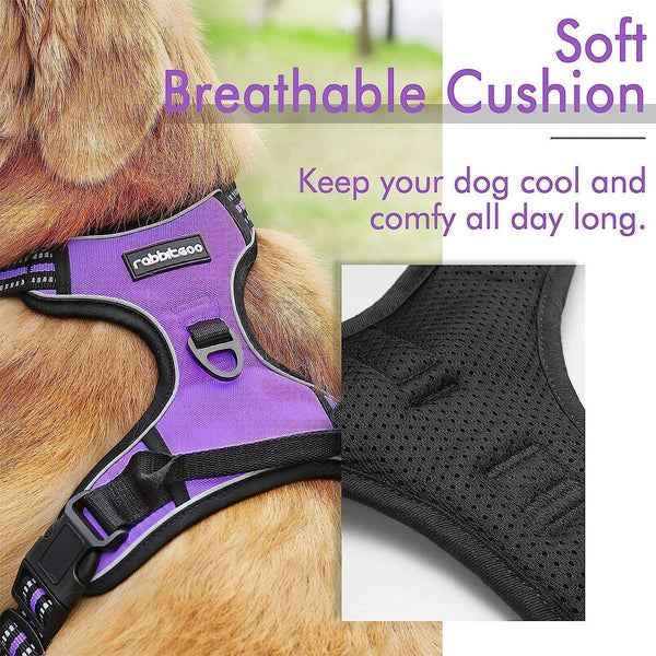 Classic Fit No Pull Dog Harness