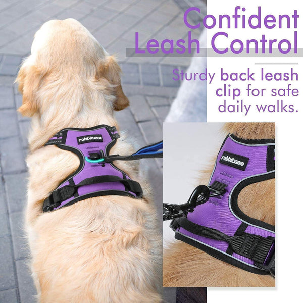 Classic Fit No Pull Dog Harness