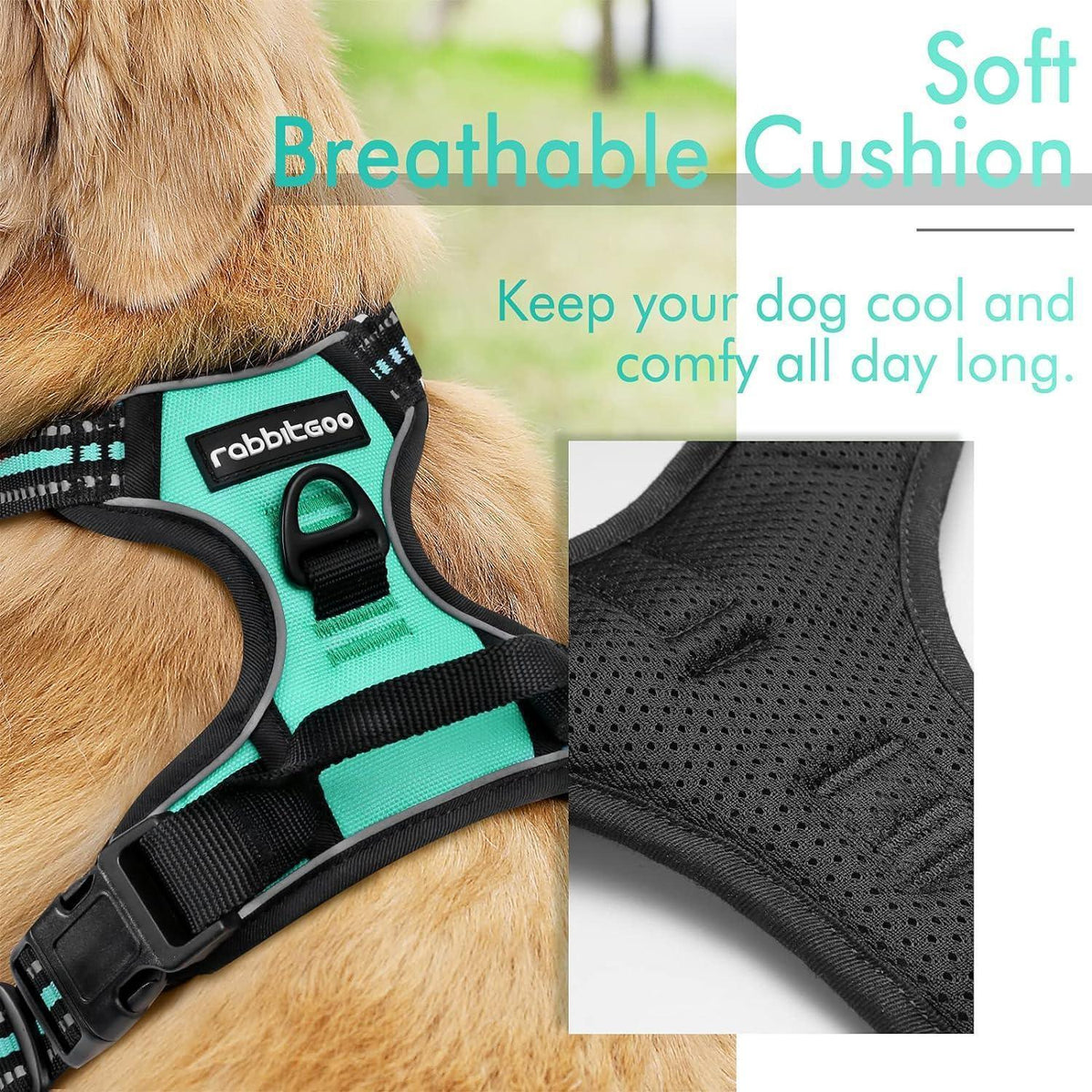Classic Fit No Pull Dog Harness