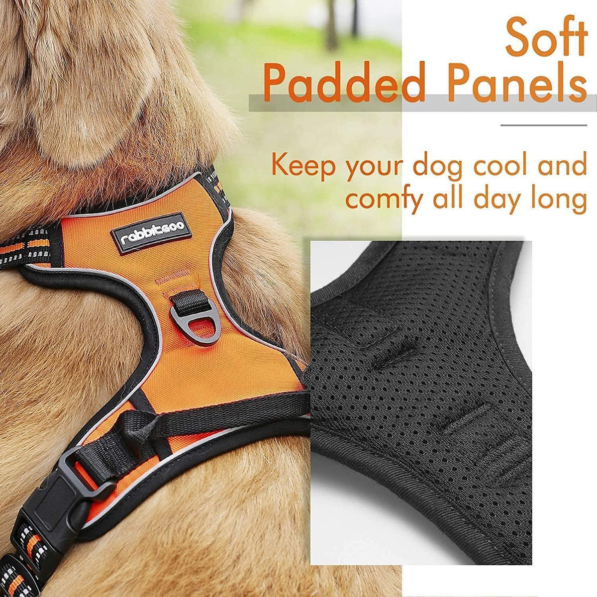 Classic Fit No Pull Dog Harness