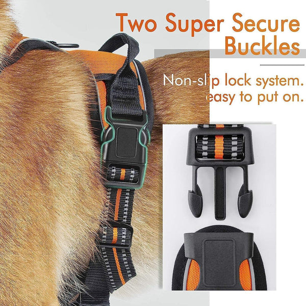 Classic Fit No Pull Dog Harness