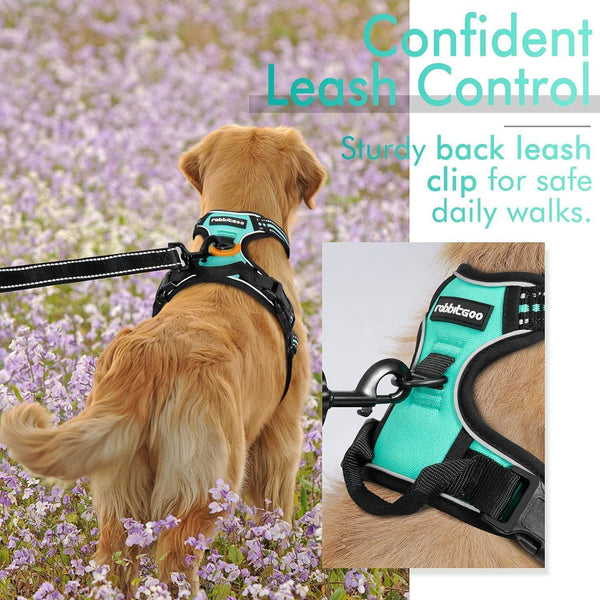 Classic Fit No Pull Dog Harness