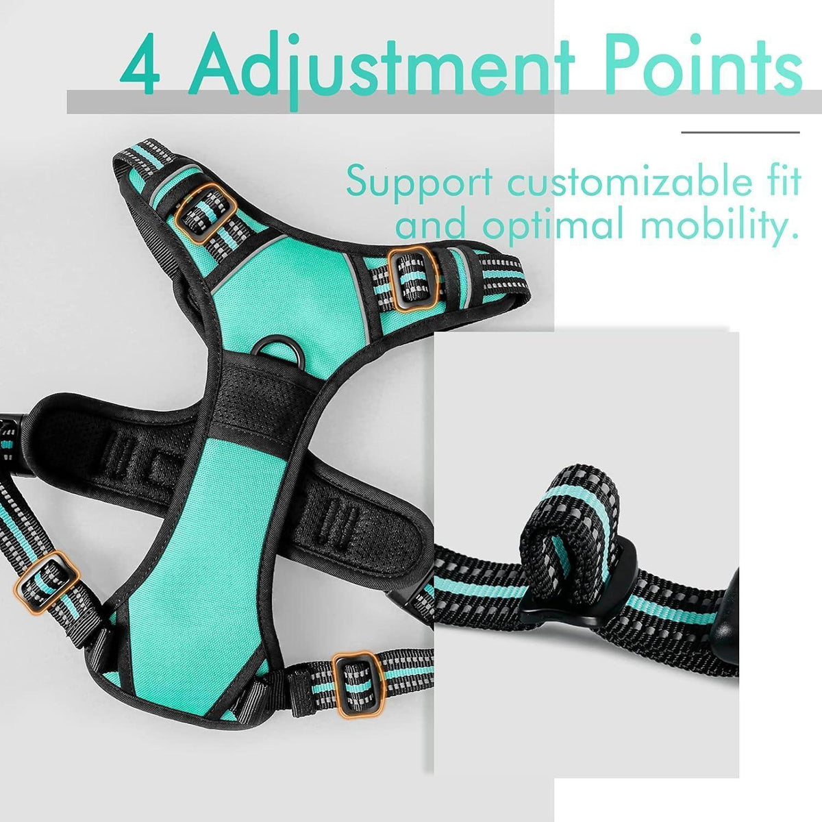 Classic Fit No Pull Dog Harness