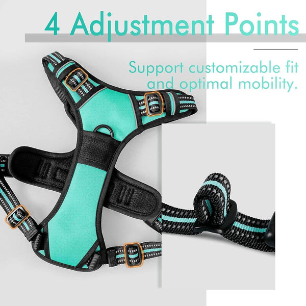 Classic Fit No Pull Dog Harness