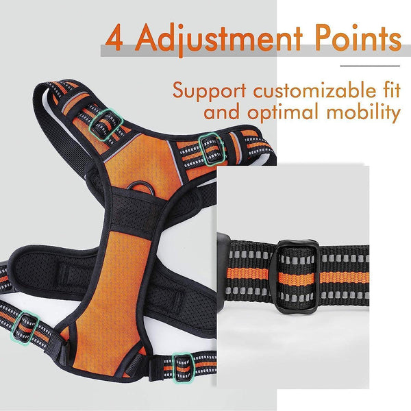 Classic Fit No Pull Dog Harness