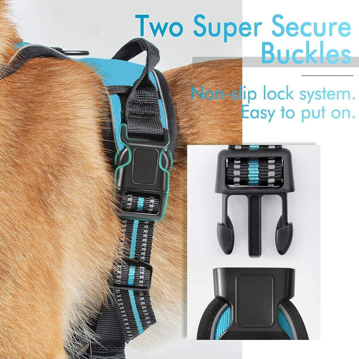Classic Fit No Pull Dog Harness