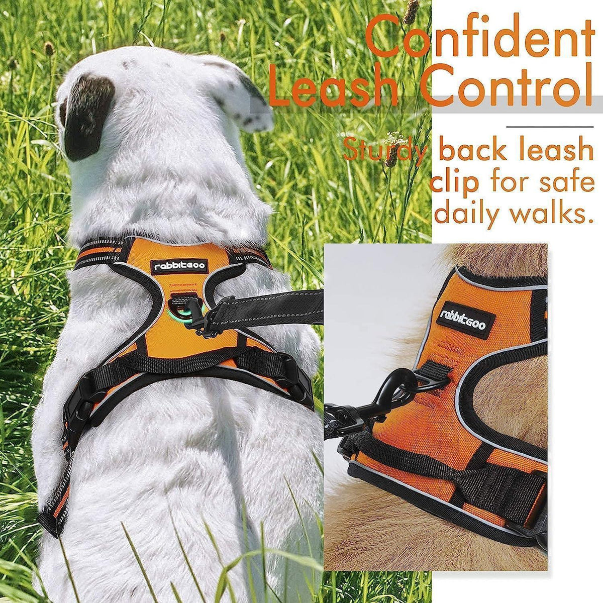 Classic Fit No Pull Dog Harness